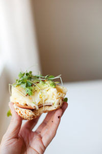 Macro Friendly Egg and Havarti Bagel www.lillieeatsandtellscom.bigscoots-staging.com