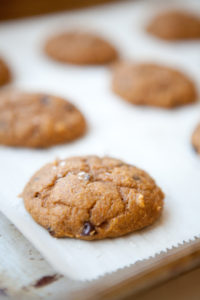 Macro Friendly Pumpkin Chocolate Chip Cookie www.lillieeatsandtellscom.bigscoots-staging.com