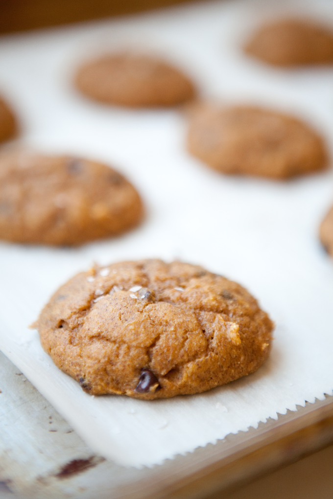 Macro Friendly Pumpkin Chocolate Chip Cookie www.lillieeatsandtellscom.bigscoots-staging.com