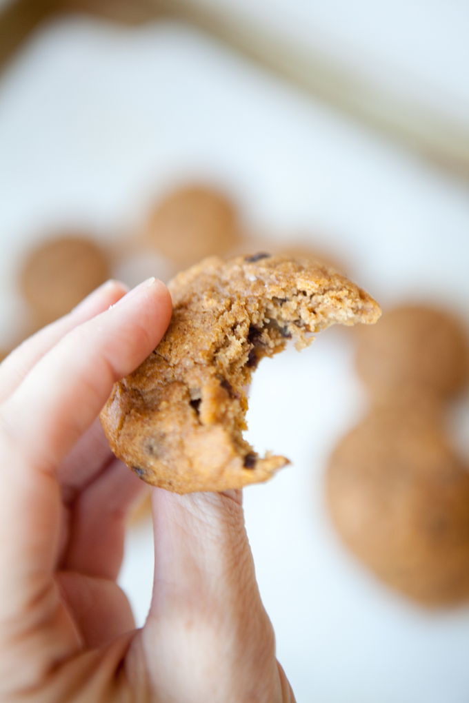 Macro Friendly Pumpkin Chocolate Chip Cookie www.lillieeatsandtellscom.bigscoots-staging.com