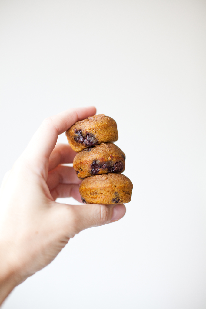 Macro Friendly Pumpkin Chocolate Chip Cookie www.lillieeatsandtellscom.bigscoots-staging.com