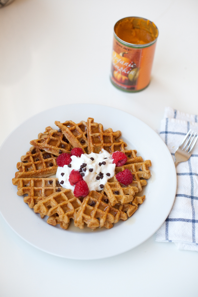 Macro Friendly Pumpkin Protein Waffles www.lillieeatsandtellscom.bigscoots-staging.com