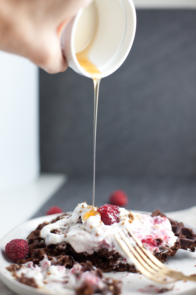 Kodiak and Lil Buff Chocolate Waffles www.lillieeatsandtellscom.bigscoots-staging.com