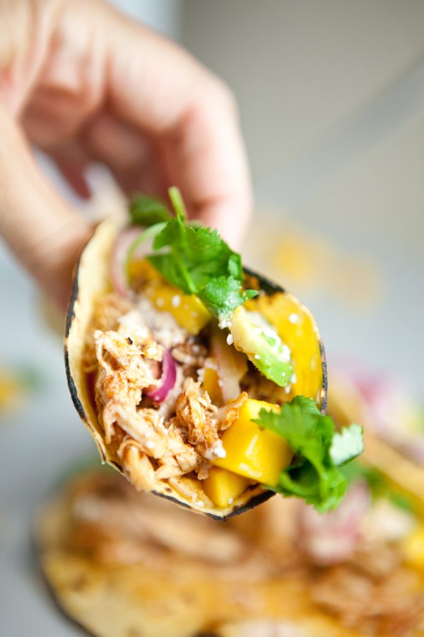 Instant pot chipotle chicken piled in tacos