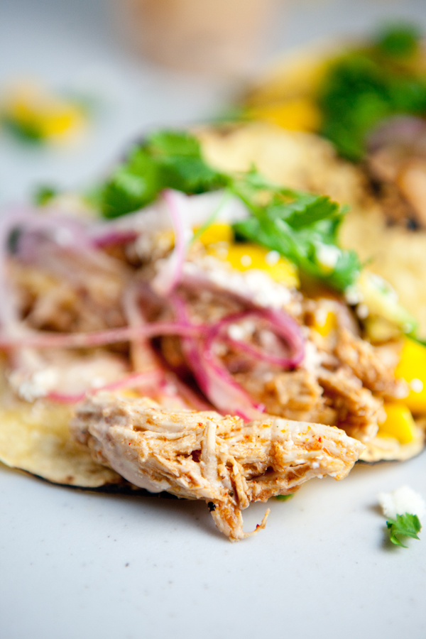 Instant pot chipotle chicken piled in tacos