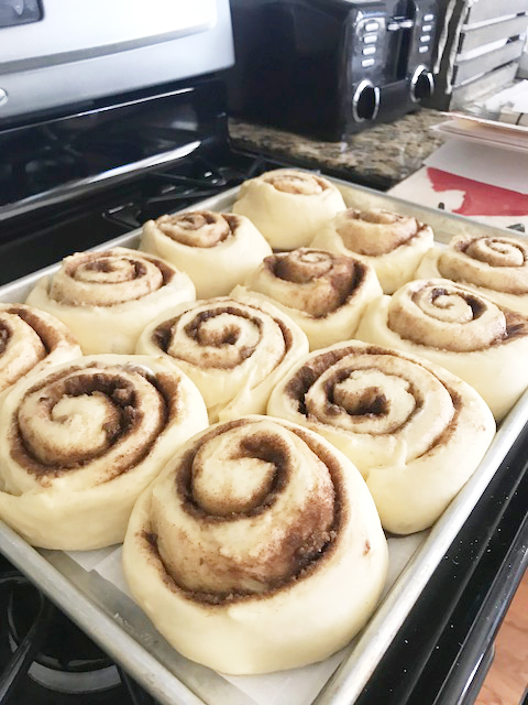 rising cinnamon rolls