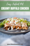 creamy buffalo chicken taquito. www.lillieeatsandtellscom.bigscoots-staging.com