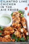 Cilantro Lime Chicken in the Air Fryer www.lillieeatsandtellscom.bigscoots-staging.com