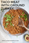 Taco Meat with Ground Turkey www.lillieeatsandtellscom.bigscoots-staging.com