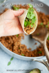 Simple ground turkey taco meat www.lillieeatsandtellscom.bigscoots-staging.com