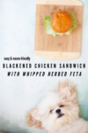 www.lillieeatsandtells.com recipe for blackened chicken sandwich