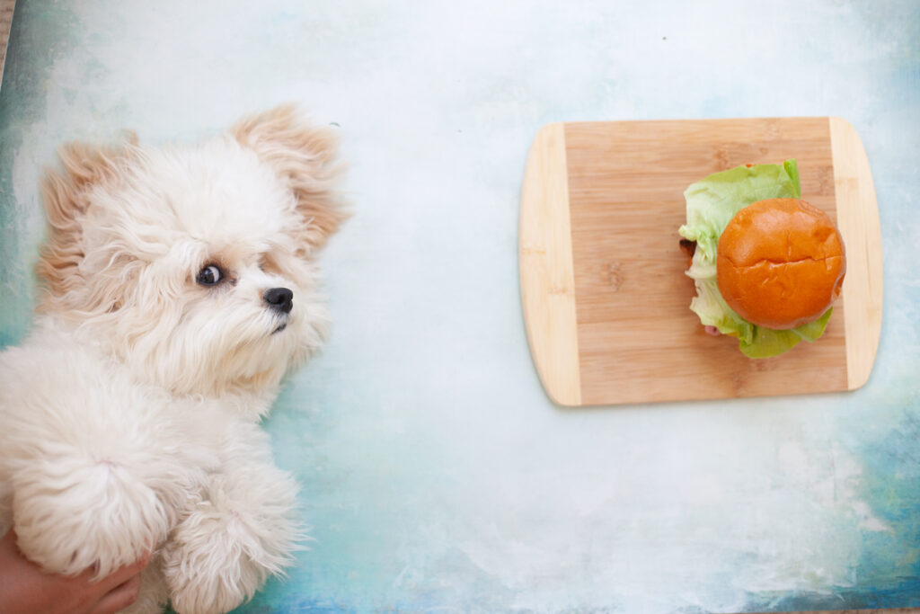 tasty and macro-friendly blackened chicken sandwich from www.lillieeatsandtellscom.bigscoots-staging.com