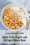 macro friendly apple crisp yogurt and cottage cheese bowl by www.lillieeatsandtells.com