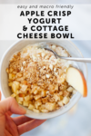 macro friendly apple crisp yogurt and cottage cheese bowl by www.lillieeatsandtells.com