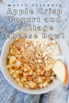 macro friendly apple crisp yogurt and cottage cheese bowl by www.lillieeatsandtells.com